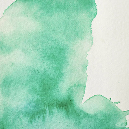 Winsor & Newton Professional Sulu Boya Yarım Tablet Viridian Hue S.2