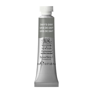 Winsor & Newton Professional Sulu Boya 5ml Davy’s Gray 217 S.1