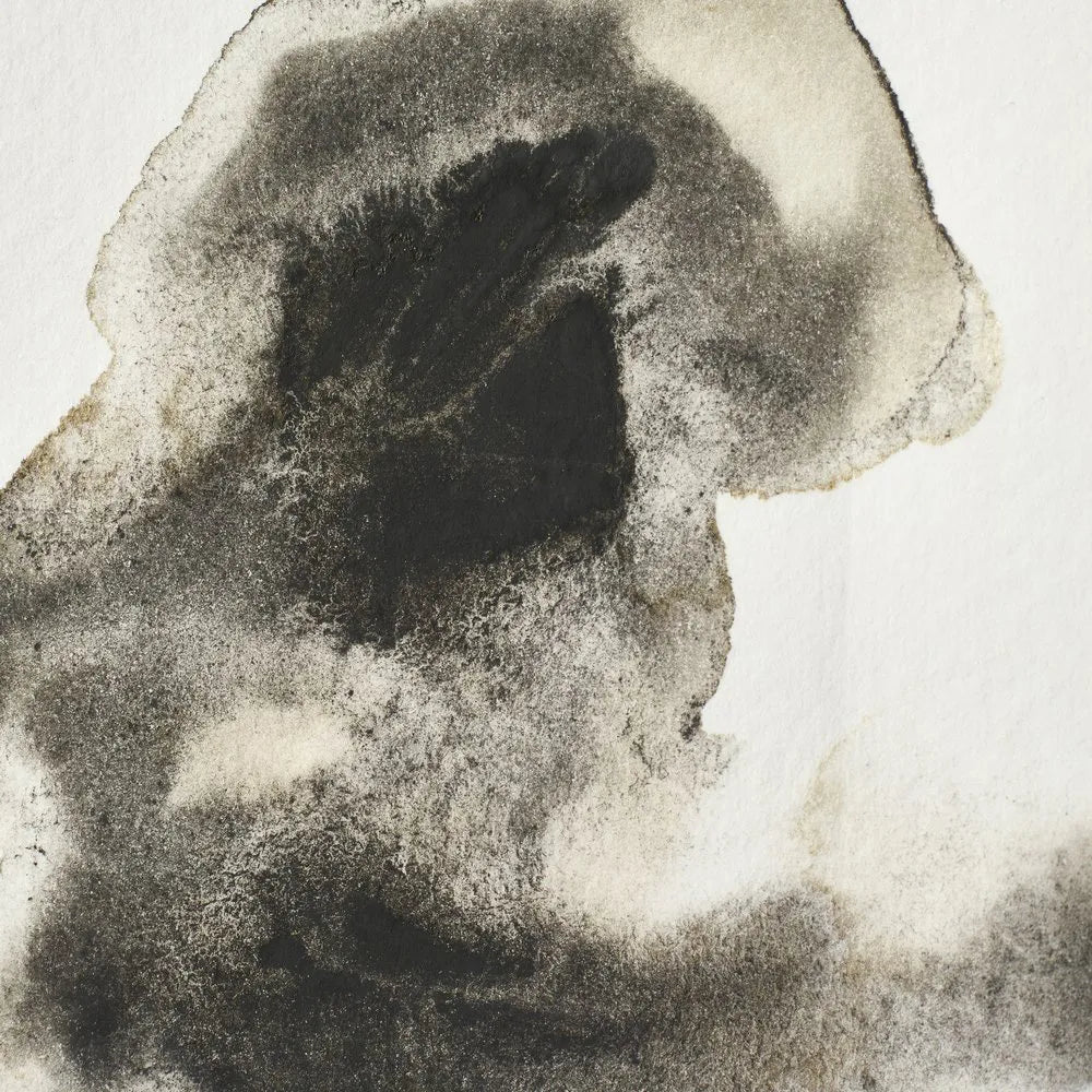 Winsor & Newton Professional Sulu Boya 5ml Ostwald Grey S.1