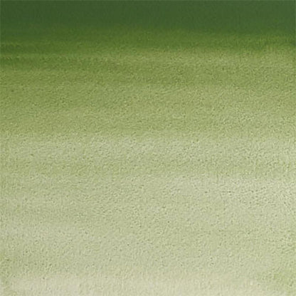 Winsor & Newton Professional Sulu Boya 5ml Oxide Of Chromium 459 S.3