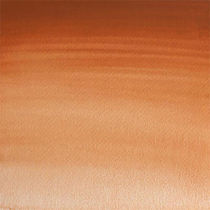 Winsor & Newton Professional Sulu Boya 14ml Magnesium Brown 381 S.1