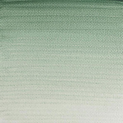 Winsor & Newton Professional Sulu Boya 14ml Terre Verte 637 S.1