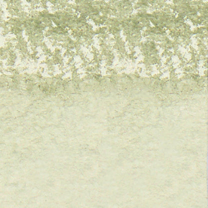 Winsor & Newton Professional Sulu Boya Stick Davy's Gray 217 S.1