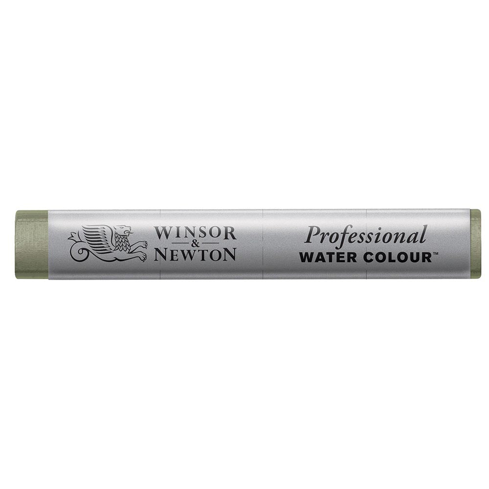 Winsor & Newton Professional Sulu Boya Stick Davy's Gray 217 S.1