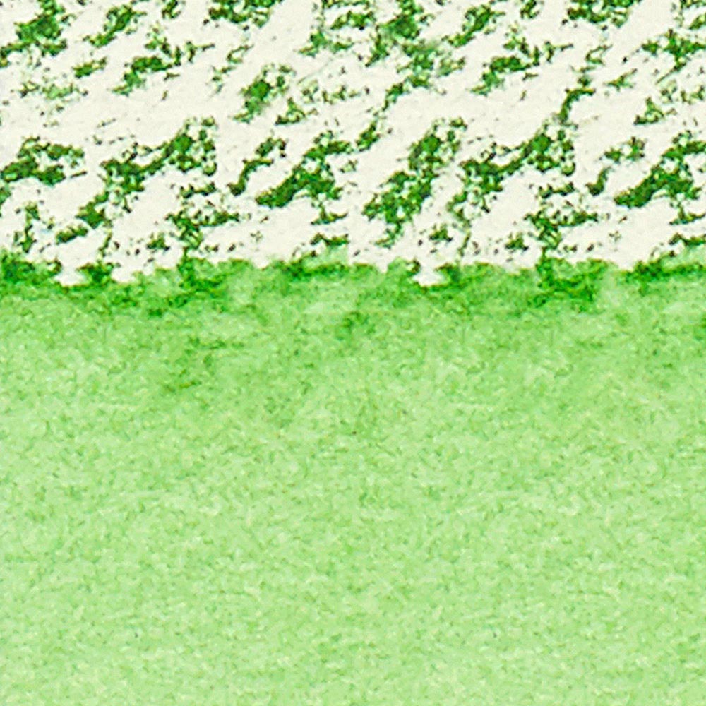 Winsor & Newton Professional Sulu Boya Stick Hooker's Green 311 S.1