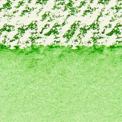 Winsor & Newton Professional Sulu Boya Stick Hooker's Green 311 S.1