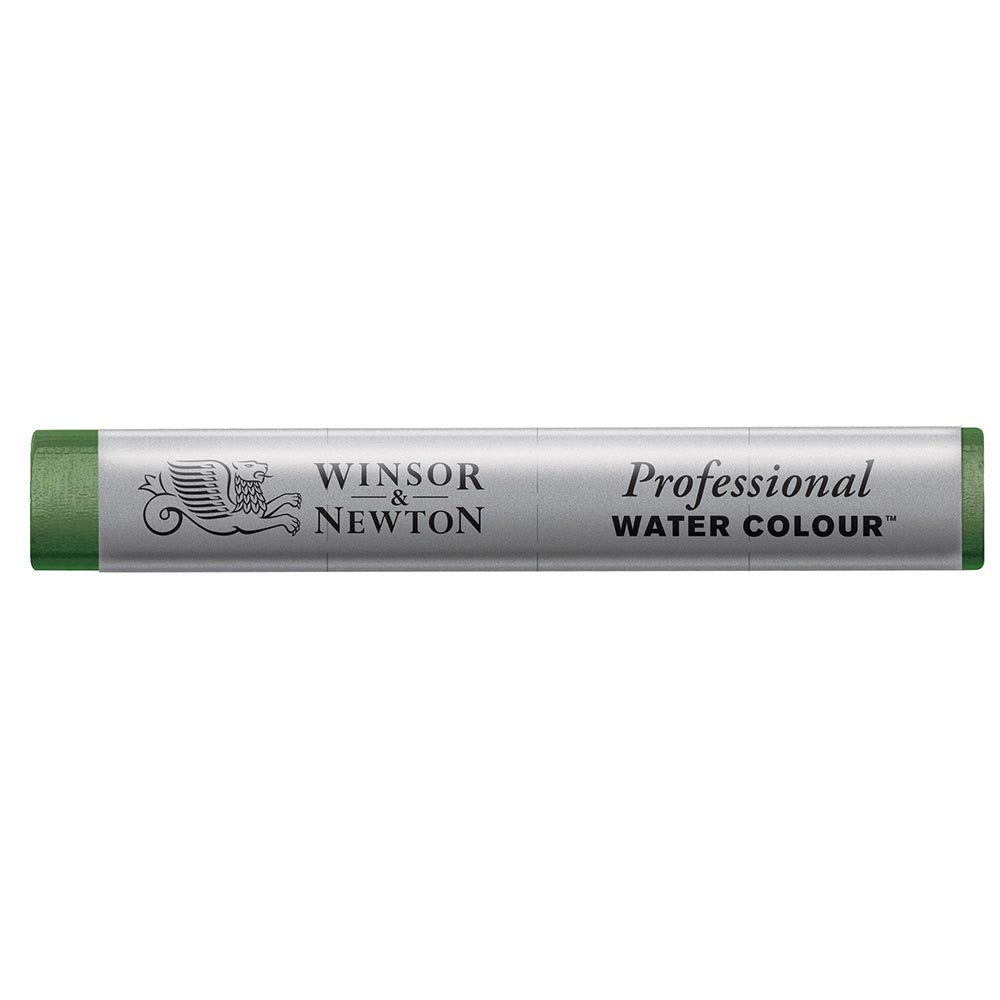 Winsor & Newton Professional Sulu Boya Stick Hooker's Green 311 S.1