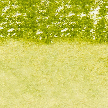 Winsor & Newton Professional Sulu Boya Stick Olive Green 447 S.1