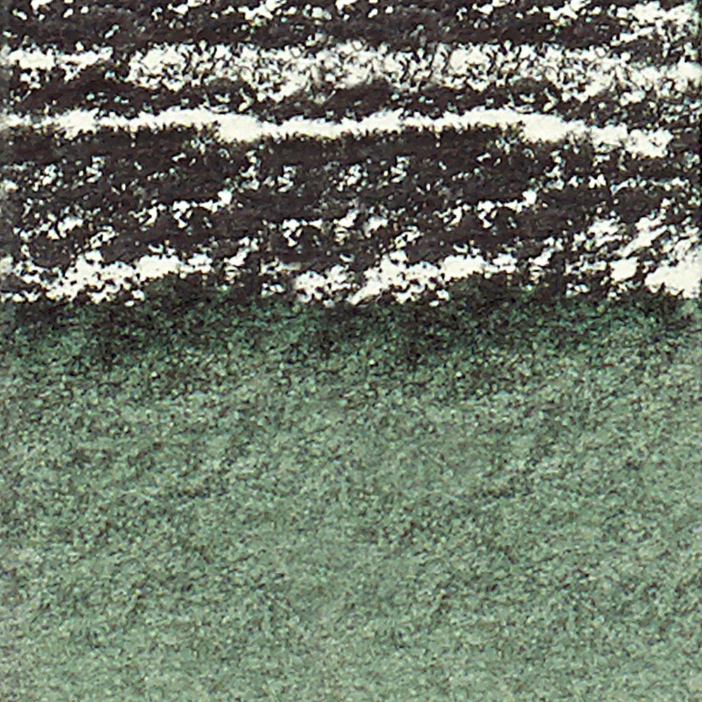 Winsor & Newton Professional Sulu Boya Stick Perylene Green 460 S.2