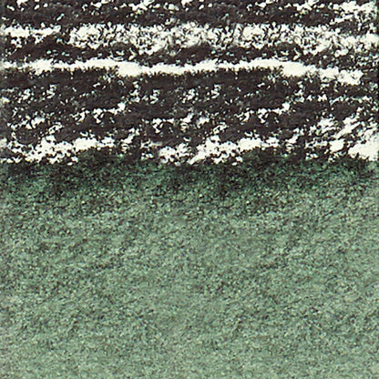 Winsor & Newton Professional Sulu Boya Stick Perylene Green 460 S.2