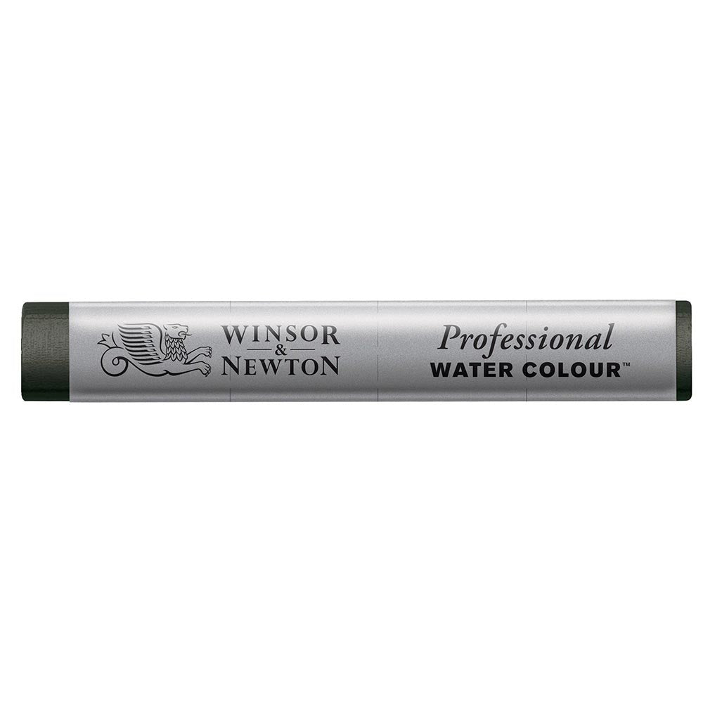 Winsor & Newton Professional Sulu Boya Stick Perylene Green 460 S.2