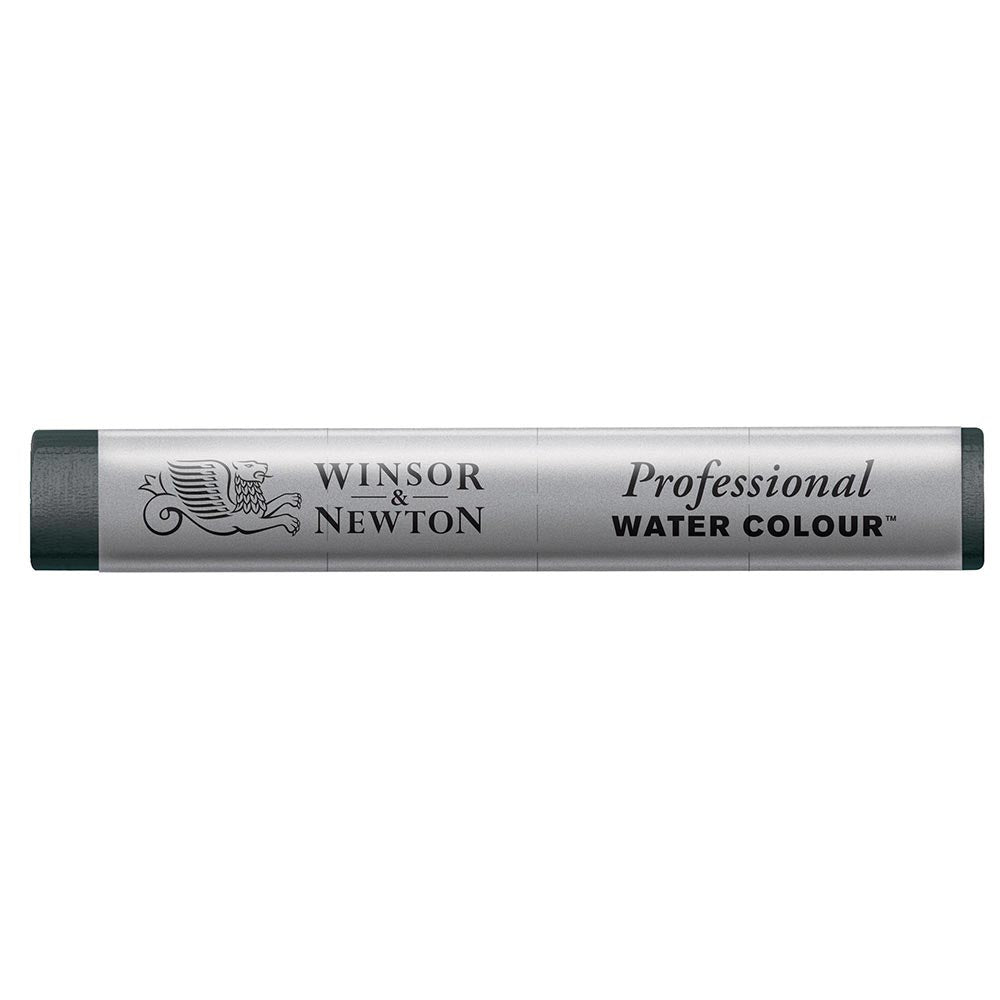 Winsor & Newton Professional Sulu Boya Stick Payne's Gray 465 S.1