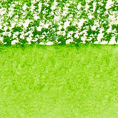 Winsor & Newton Professional Sulu Boya Stick Permanent Sap Green 503 S.1