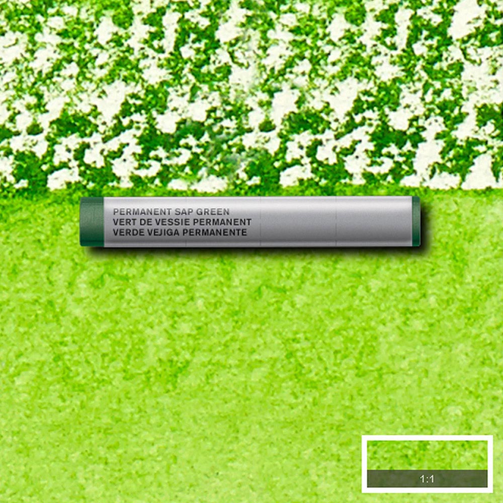 Winsor & Newton Professional Sulu Boya Stick Permanent Sap Green 503 S.1