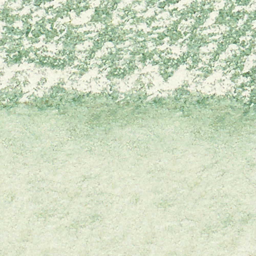 Winsor & Newton Professional Sulu Boya Stick Terre Verte 637 S.1