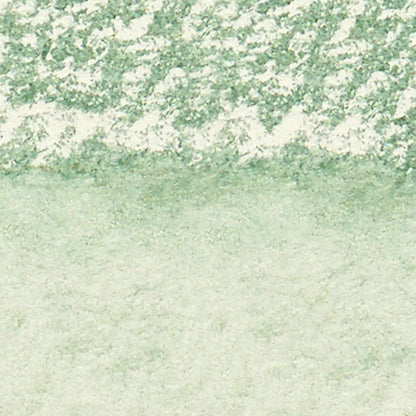 Winsor & Newton Professional Sulu Boya Stick Terre Verte 637 S.1