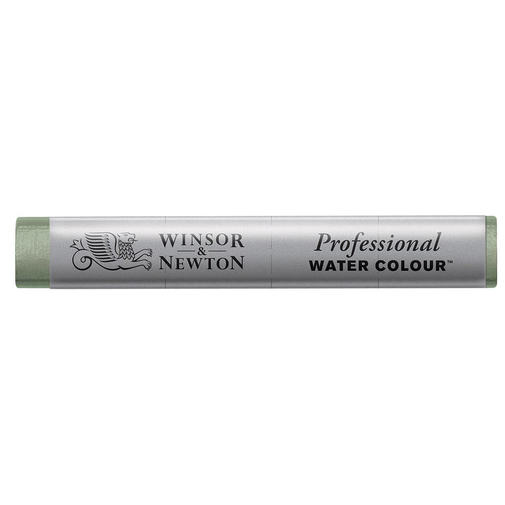 Winsor & Newton Professional Sulu Boya Stick Terre Verte 637 S.1