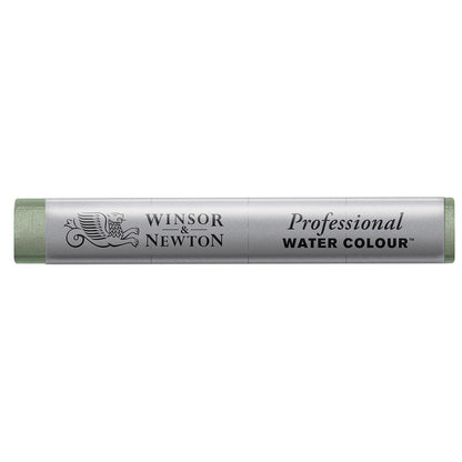 Winsor & Newton Professional Sulu Boya Stick Terre Verte 637 S.1