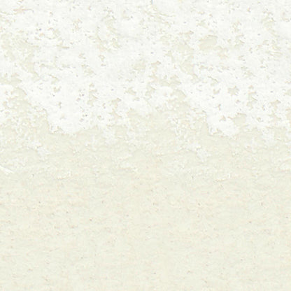 Winsor & Newton Professional Sulu Boya Stick Titanium White 644 S.1