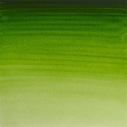 Winsor & Newton Professional Sulu Boya 37ml Permanent Sap Green 503 S.1