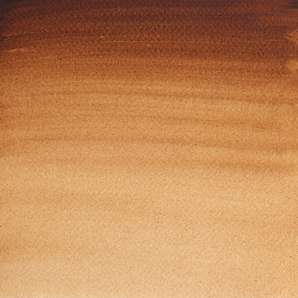 Winsor & Newton Professional Sulu Boya Burnt Umber 076 S.1 (Dev Tablet)