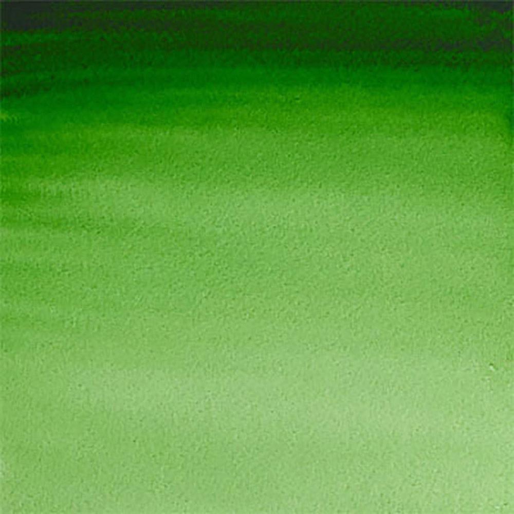 Winsor & Newton Professional Sulu Boya Hooker’s Green 311 S.1 (Dev Tablet)