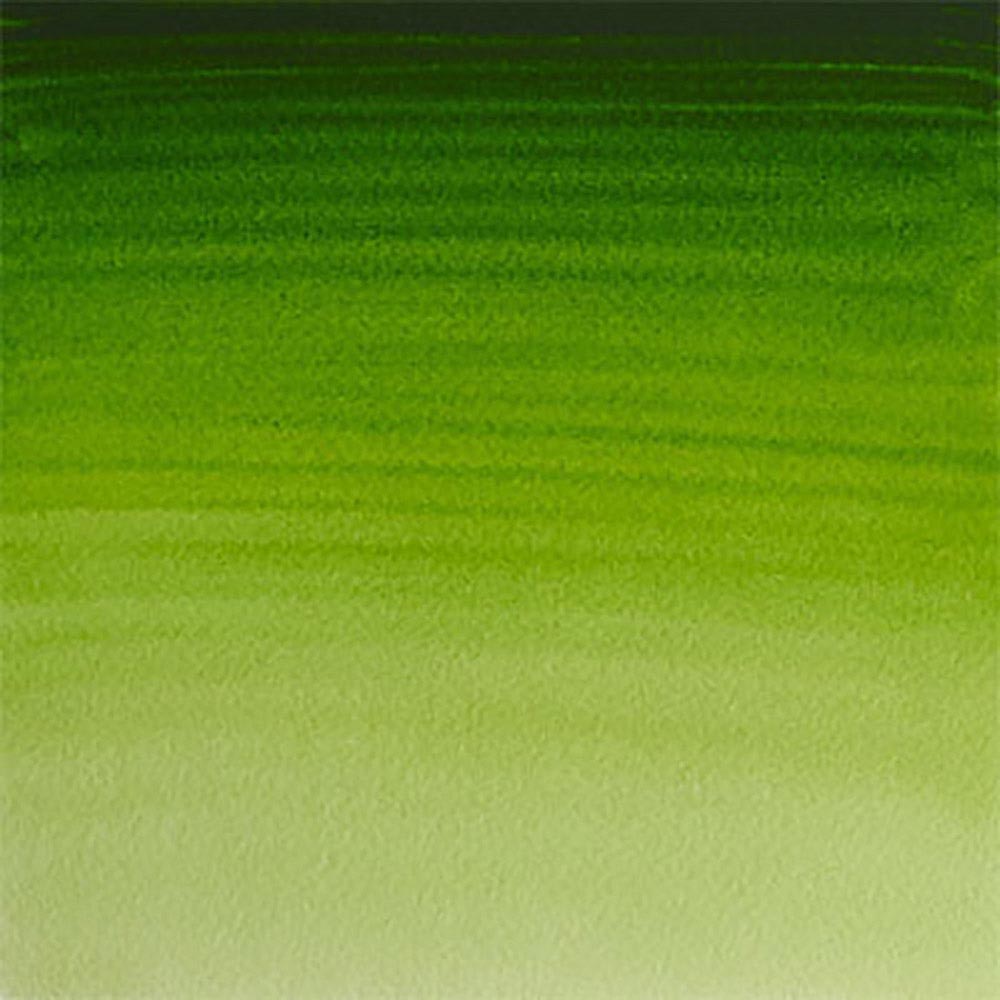 Winsor & Newton Professional Sulu Boya Permanent Sap Green 503 S.1 Dev Tablet
