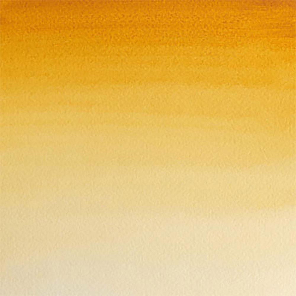 Winsor & Newton Professional Sulu Boya Raw Sienna 552 S.1 (Dev Tablet)