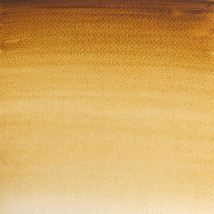 Winsor & Newton Professional Sulu Boya Raw Umber 554 S.1 (Dev Tablet)
