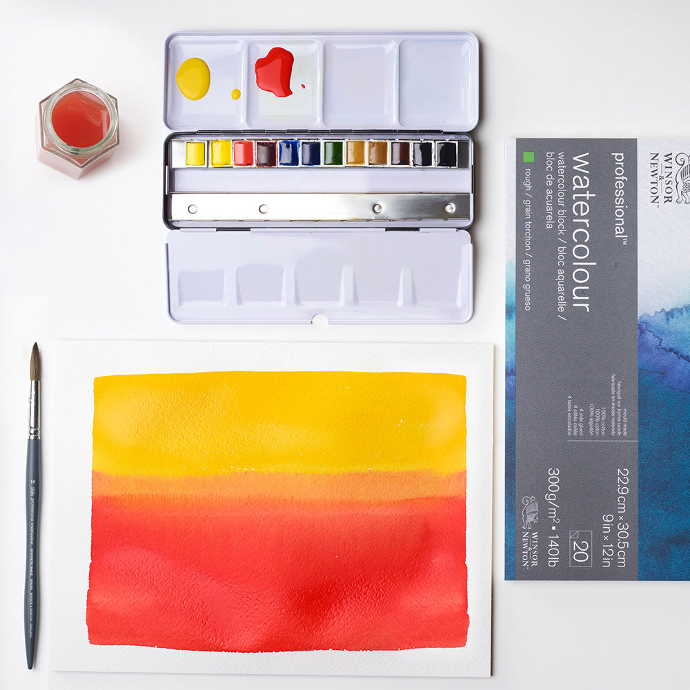 Winsor & Newton Professional Water Colour Black Box (12 x Yarım Tablet Sulu Boya Seti)