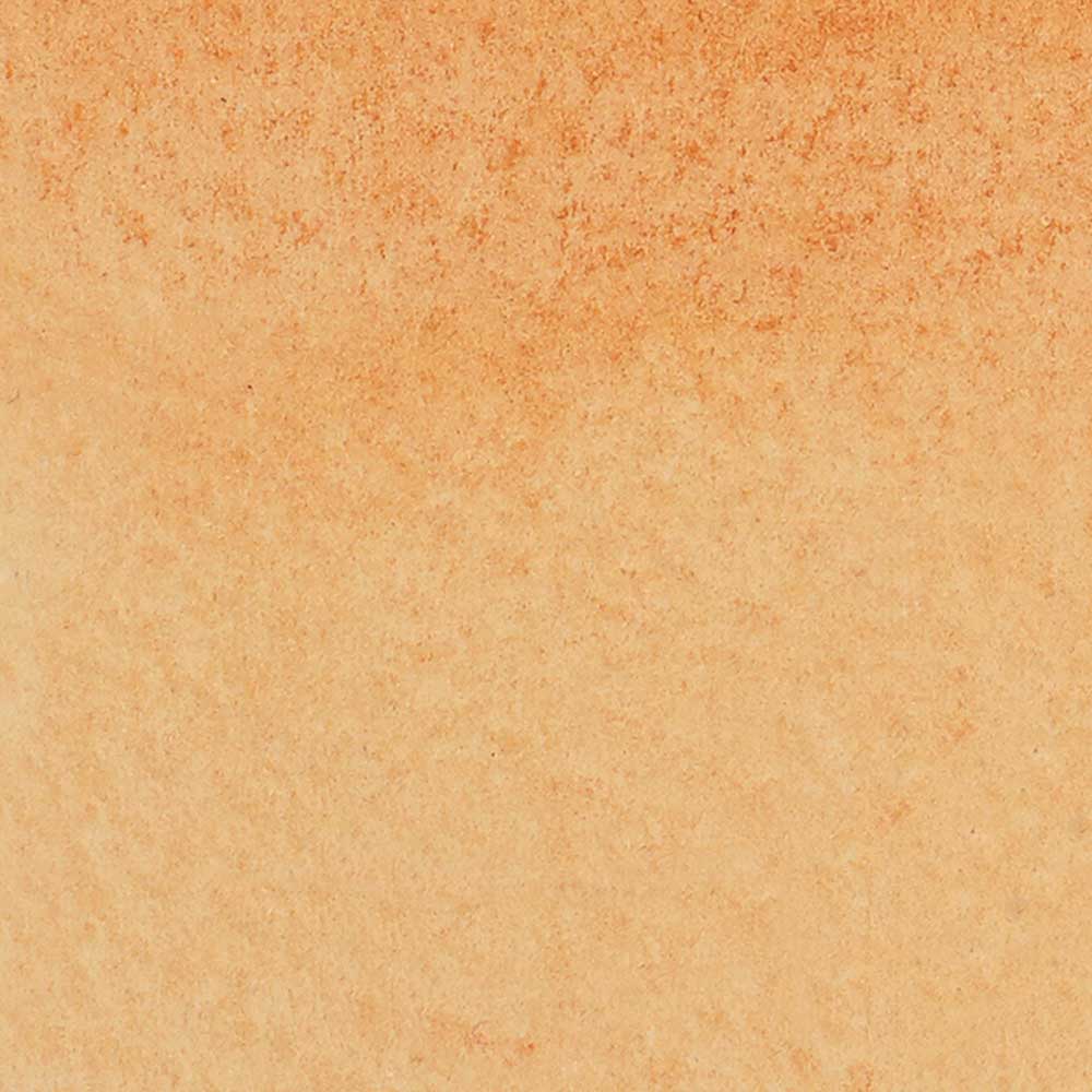 Winsor & Newton Promarker Watercolour Burnt Sienna 074