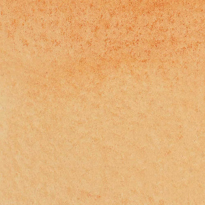 Winsor & Newton Promarker Watercolour Burnt Sienna 074