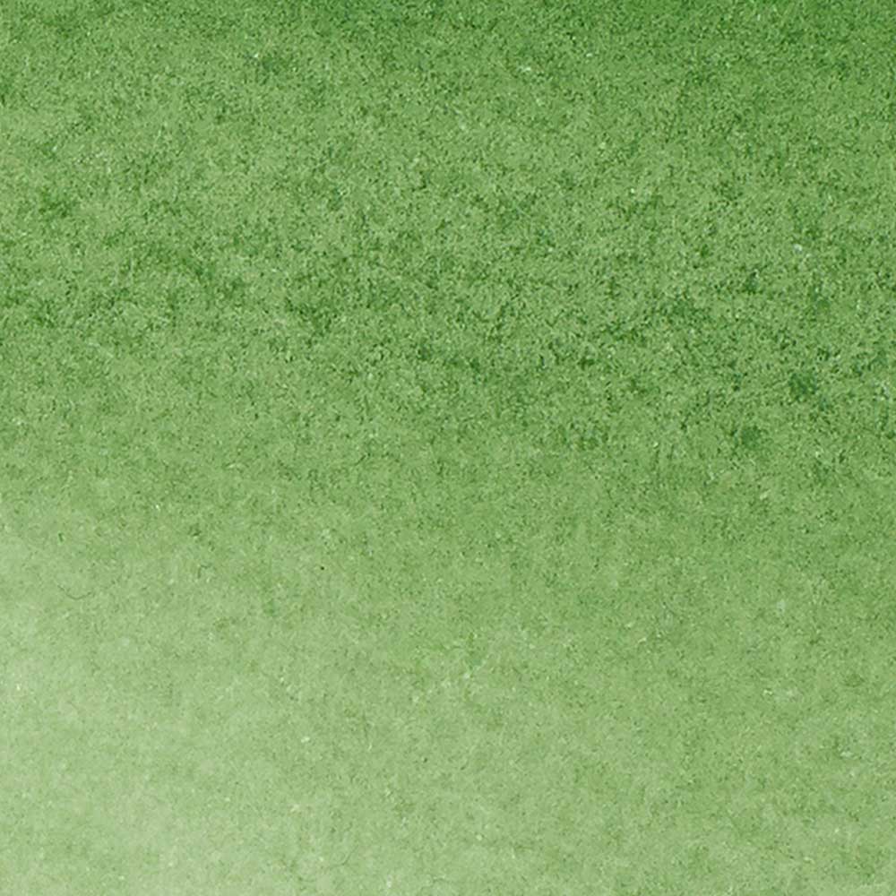 Winsor & Newton Promarker Watercolour Hooker's Green 311