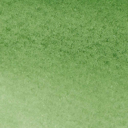 Winsor & Newton Promarker Watercolour Hooker's Green 311