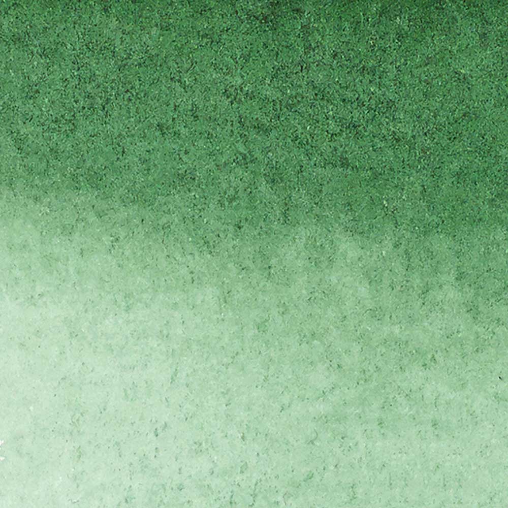 Winsor & Newton Promarker Watercolour Hooker's Green Dark 312