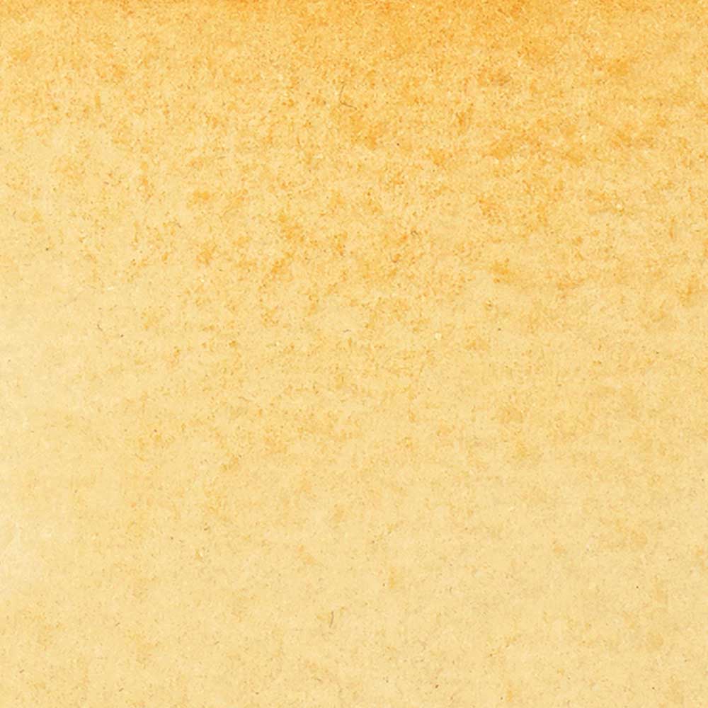 Winsor & Newton Promarker Watercolour Raw Sienna 552
