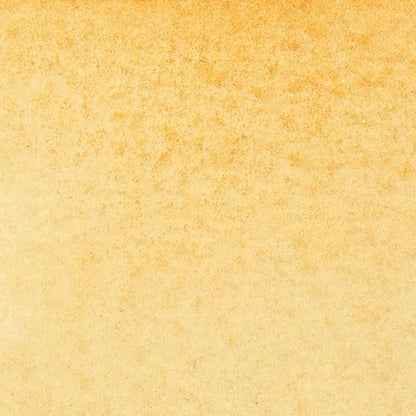 Winsor & Newton Promarker Watercolour Raw Sienna 552