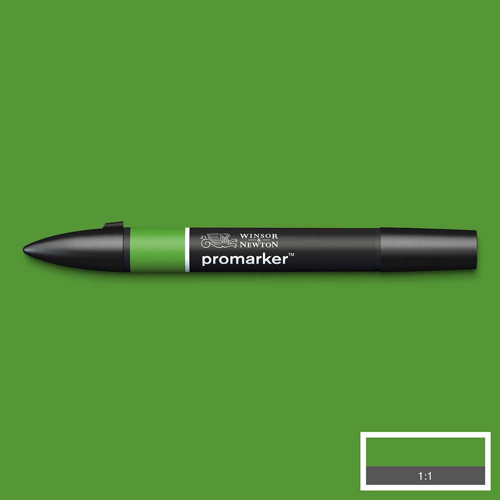 Winsor & Newton Promarker Forest Green 068 (G356)