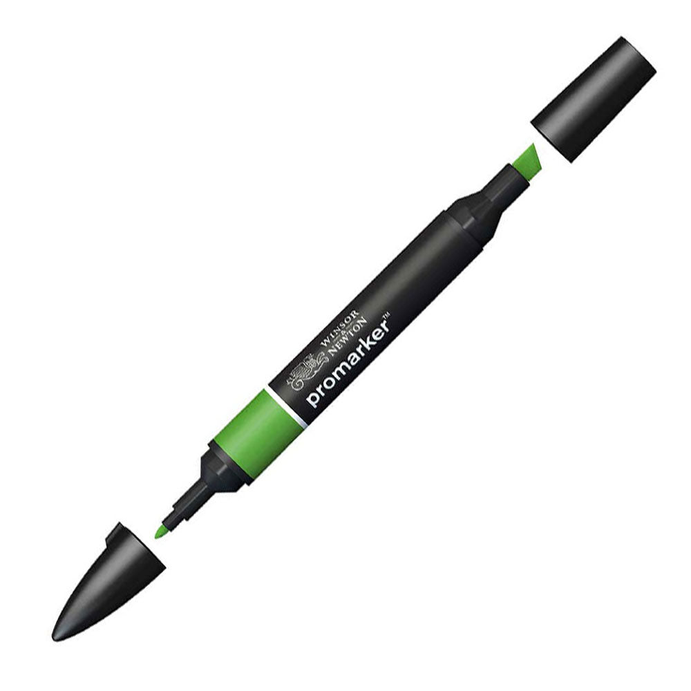 Winsor & Newton Promarker Forest Green 068 (G356)