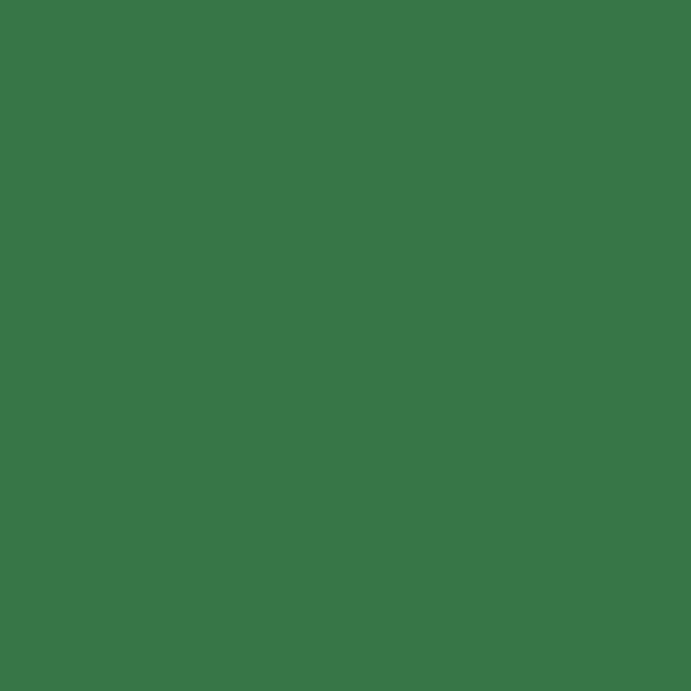 Winsor & Newton Promarker Pine 244 (G635)