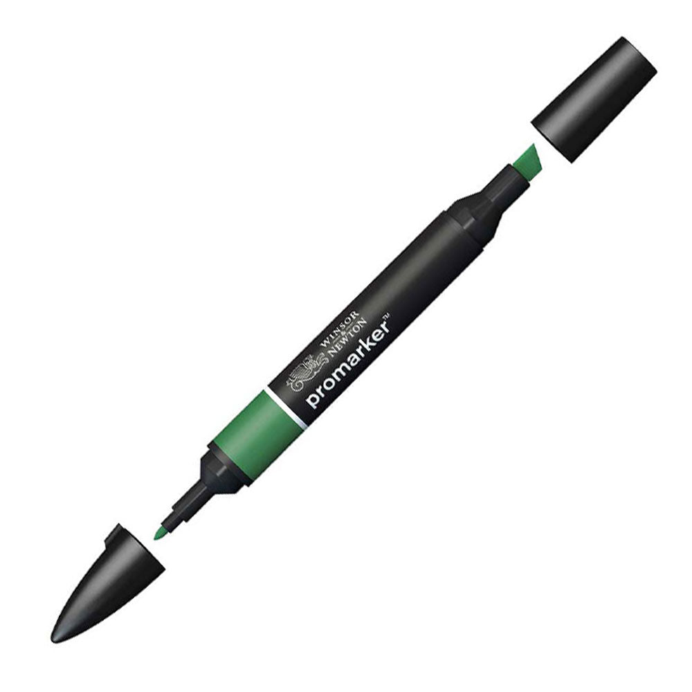 Winsor & Newton Promarker Pine 244 (G635)