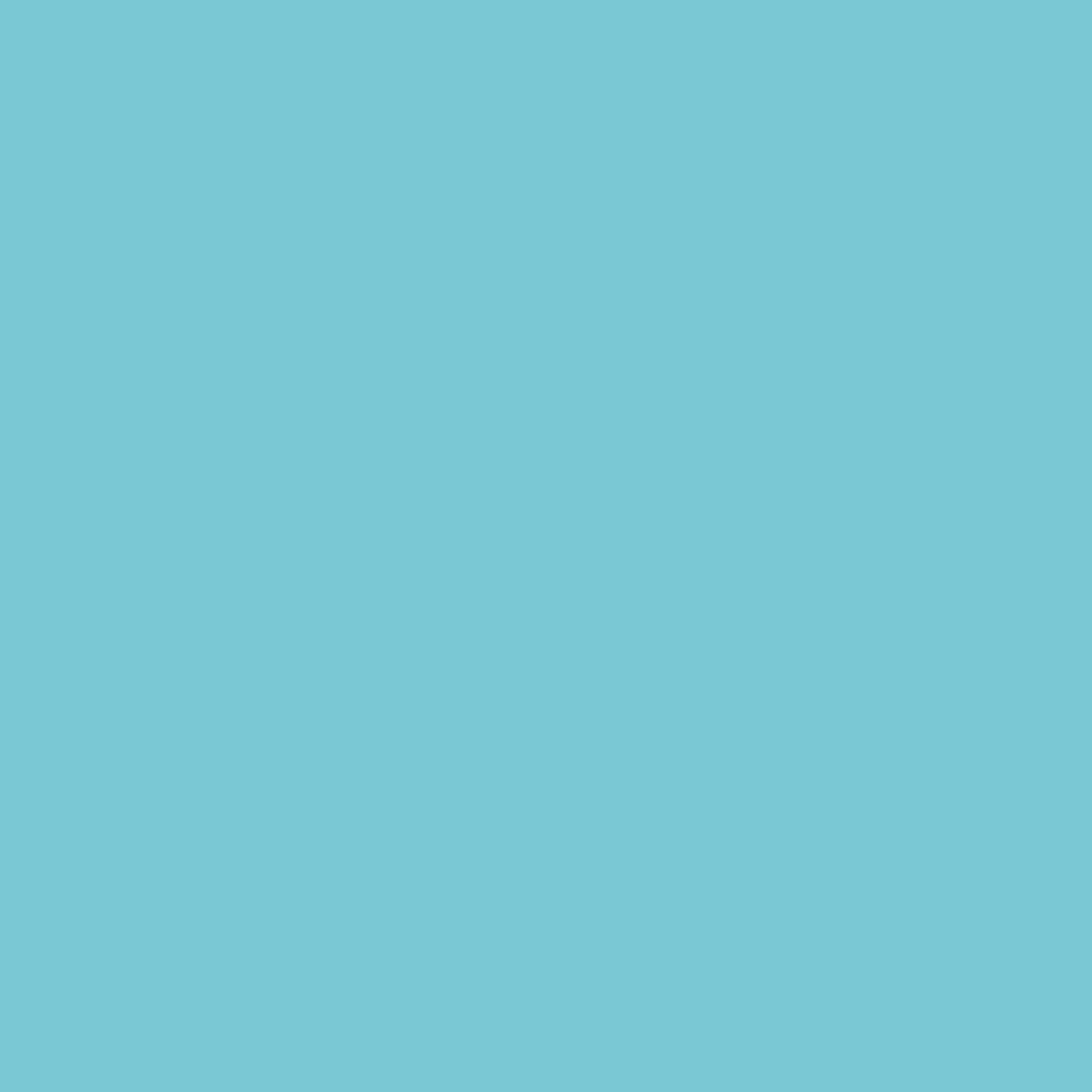 Winsor & Newton Promarker Duck Egg 268 (C528)