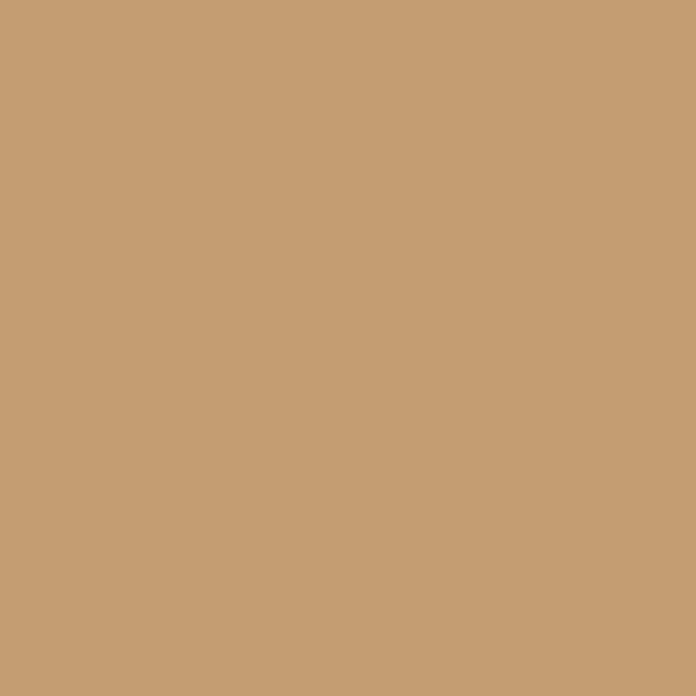 Winsor & Newton Promarker Caramel 272 (O727)
