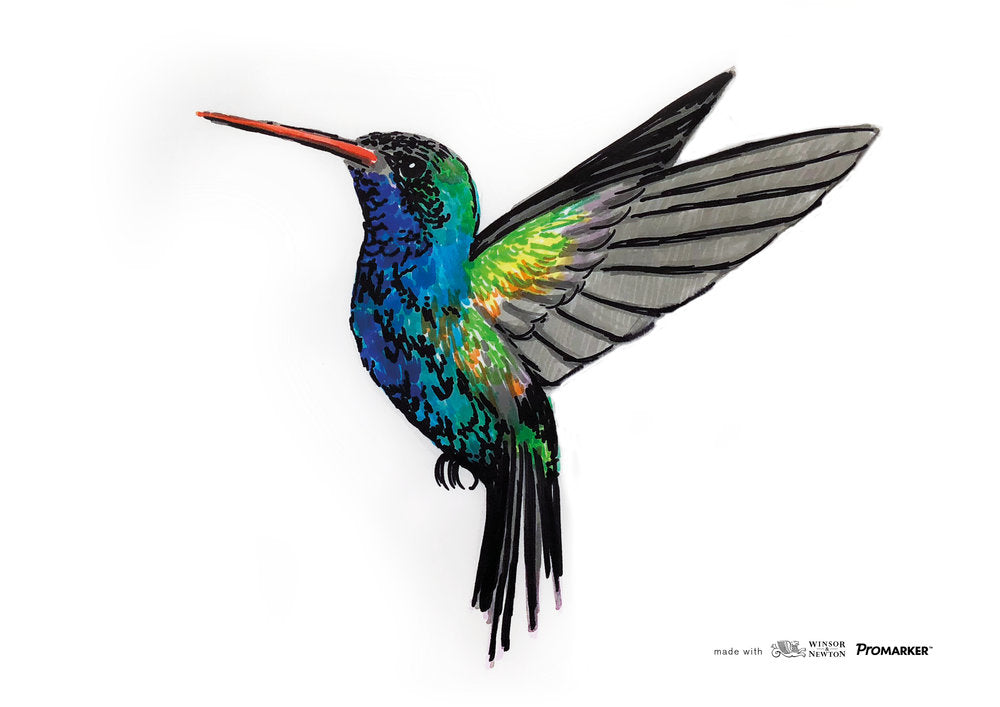 LV-WN-0290078 - Görsel 7