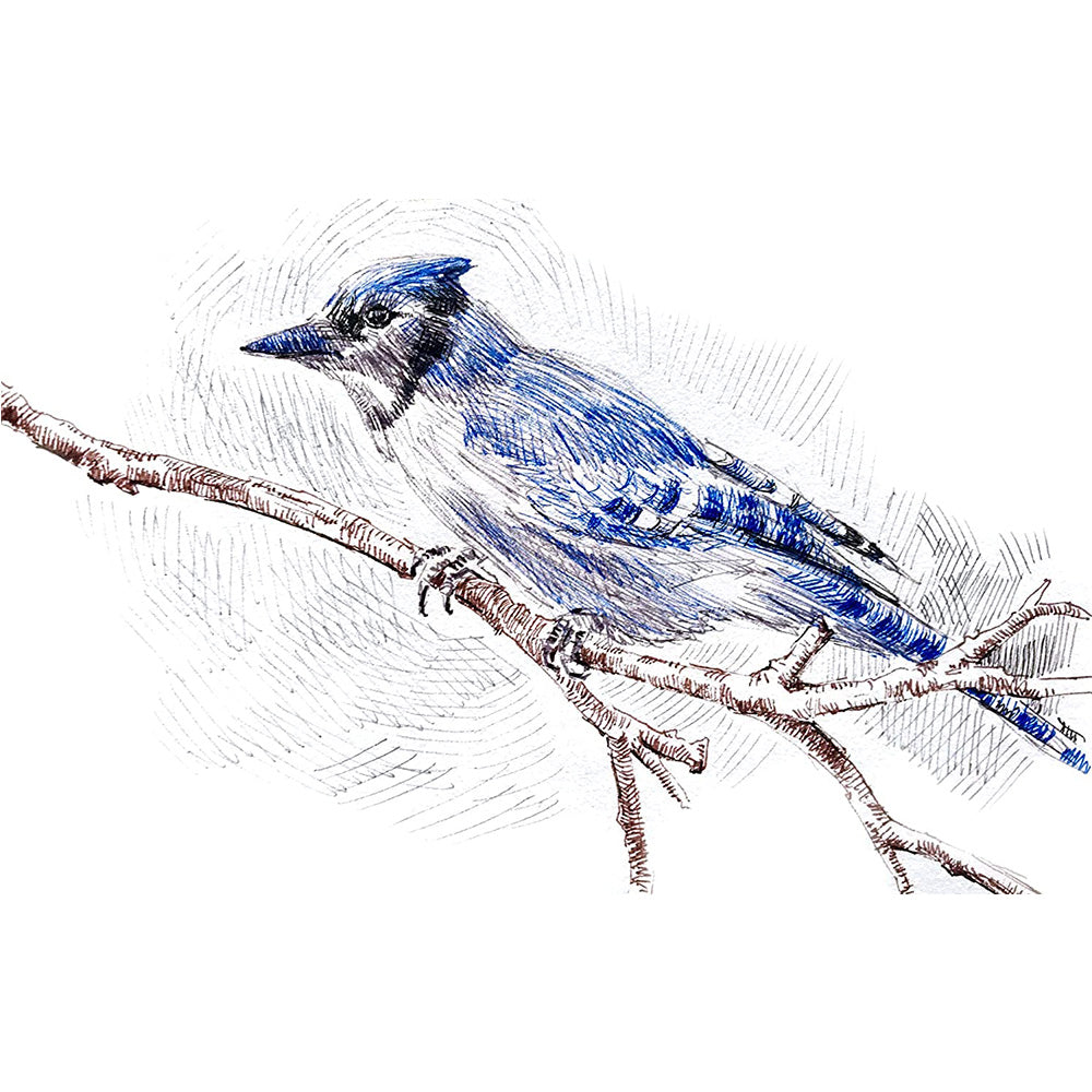 Winsor & Newton Fineliner Sepya Karışık Set (0.1, 0.3, 0.5)