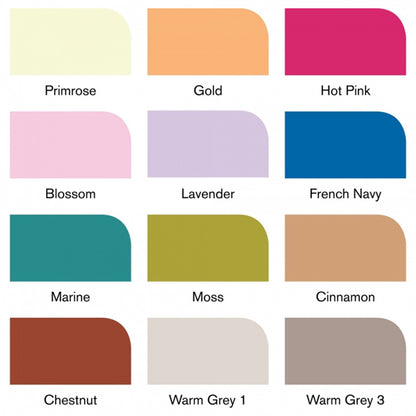 Winsor & Newton Promarker Manga Romance (12 renk+karıştırıcı )