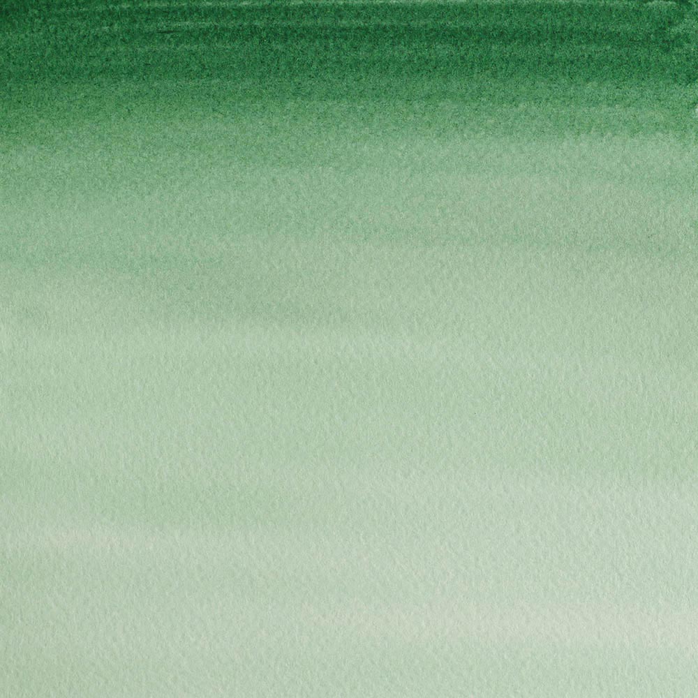 Winsor & Newton Cotman Sulu Boya Yarım Tablet Hooker’s Green Dark 312