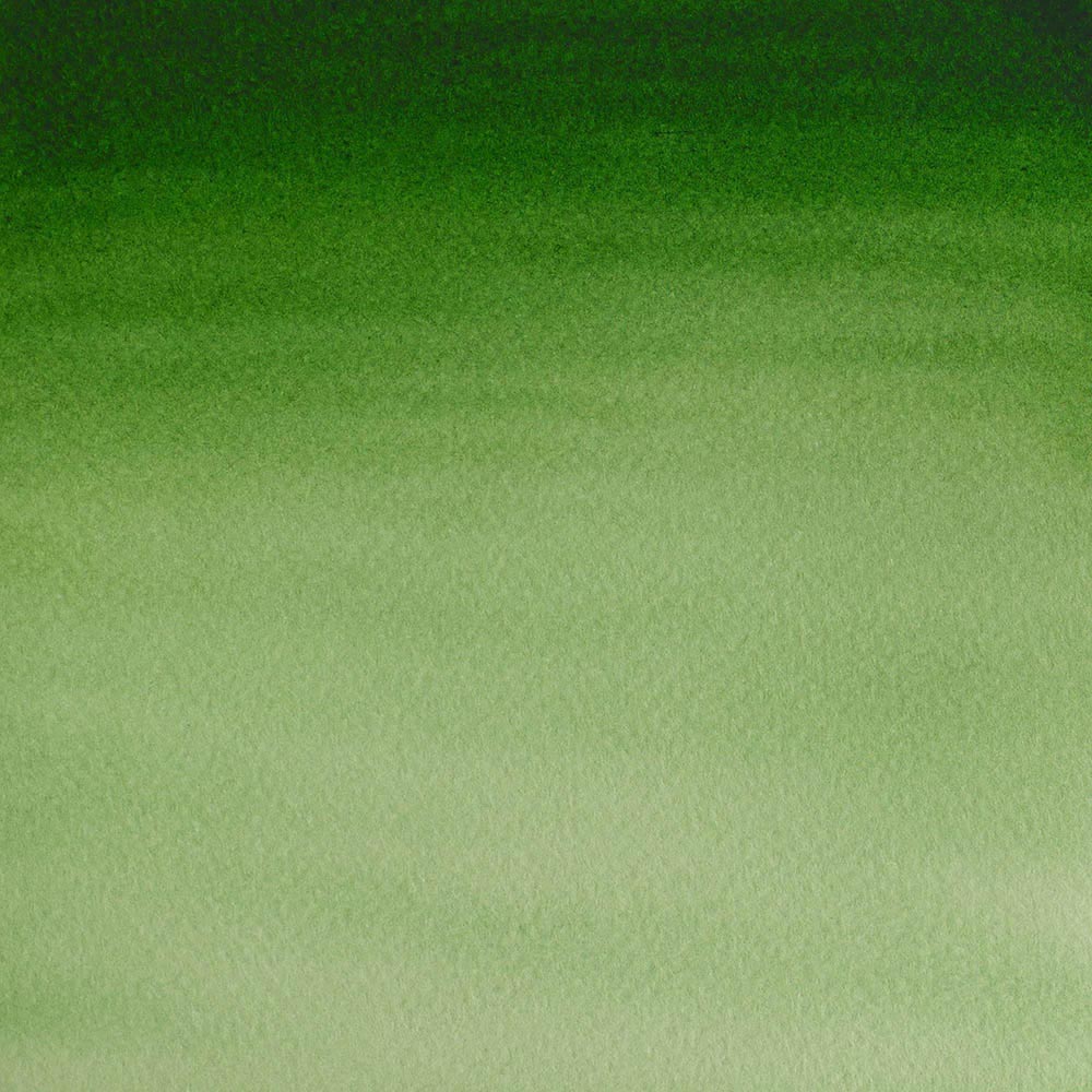 Winsor & Newton Cotman Sulu Boya Yarım Tablet Hooker’s Green Light 314