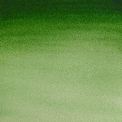 Winsor & Newton Cotman Sulu Boya Yarım Tablet Hooker’s Green Light 314