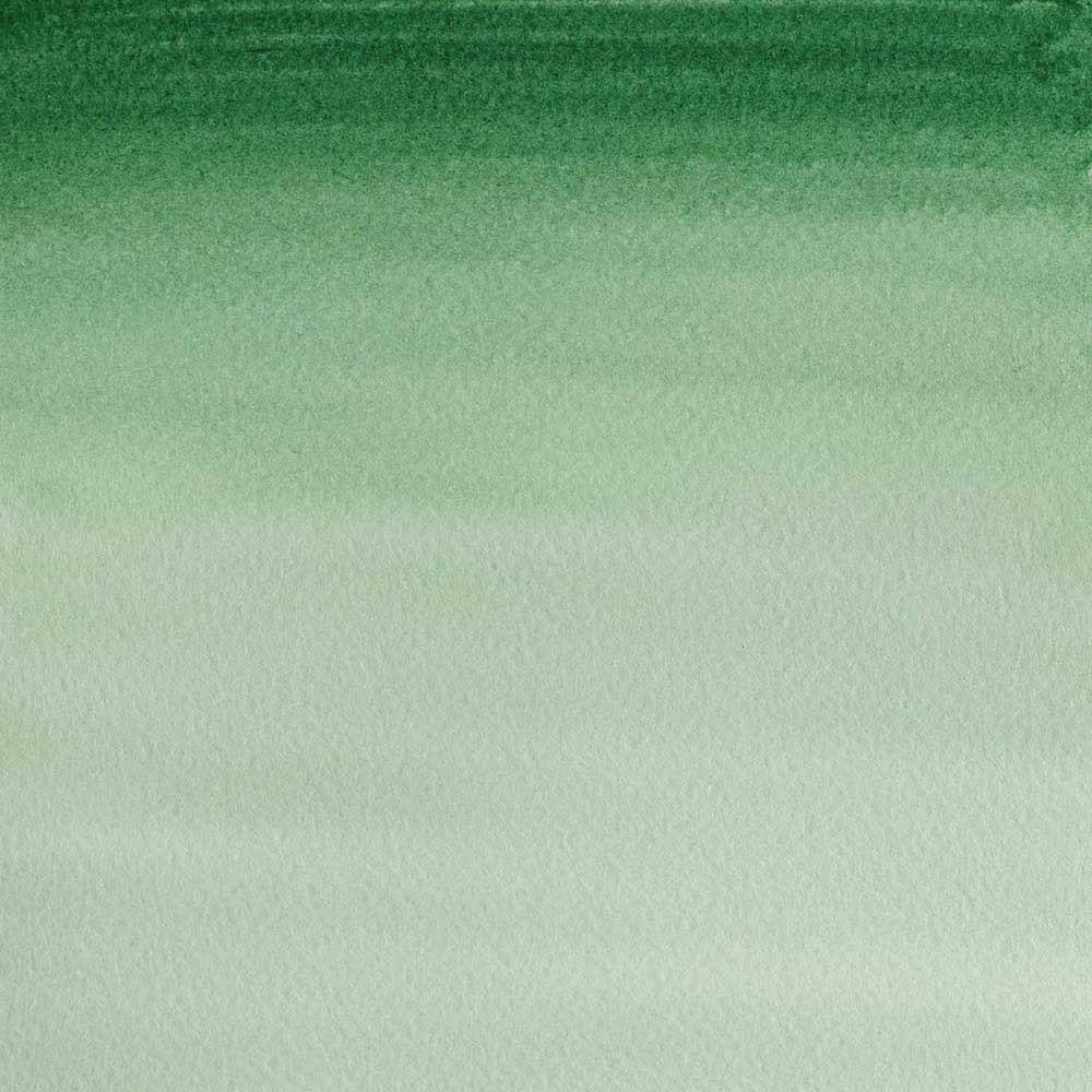 Winsor & Newton Cotman Sulu Boya 8ml Hooker's Green Dark 312